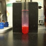 strawberry DNA extraction