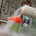shrink a balloon liquid nitrogen