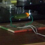 pickle electrocution
