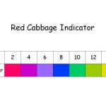 pH scale for red cabbage