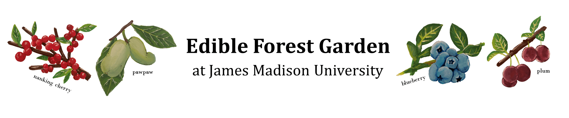 Edible Food Forest